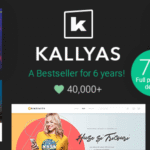 kallyas 4.24.0 WordPress Theme