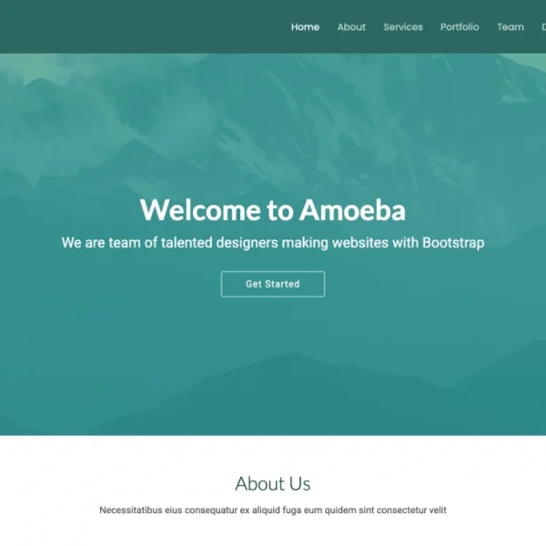 Amoeba