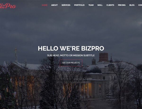 Bizpro